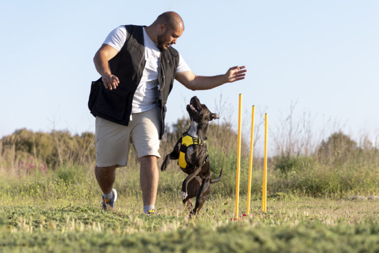 dog-trainer-teaching-dog-run-though-obstacles