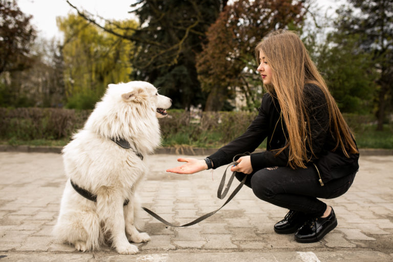 walk-dog-female-american-walking